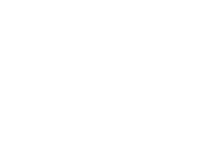 EdgeBoard处理器